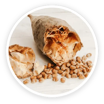 Baobab — ingredient in DigestSync